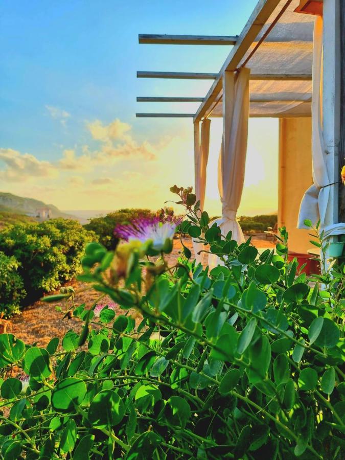 B&B Calata Di Soli Miniera dellʼArgentiera Εξωτερικό φωτογραφία
